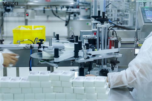 从实验室到智造底气工厂 美兮集团如何通过全链路自主掌控重塑数据处理服务